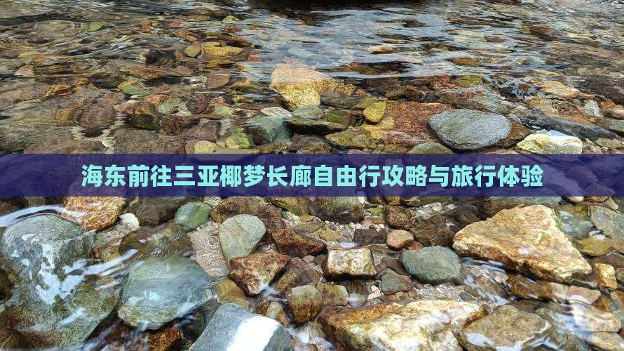 海东前往三亚椰梦长廊自由行