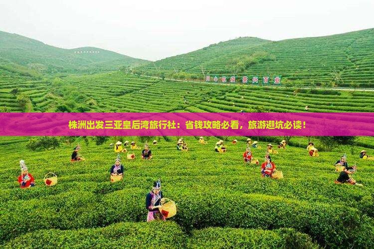 株洲出发三亚皇后湾旅行社