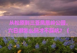 松原前往三亚凤凰岭公园六日游