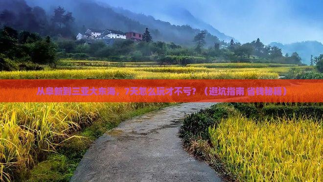 阜新去三亚大东海七日游