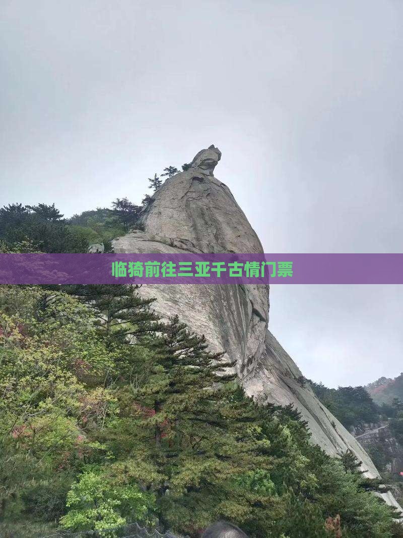 临猗前往三亚千古情门票