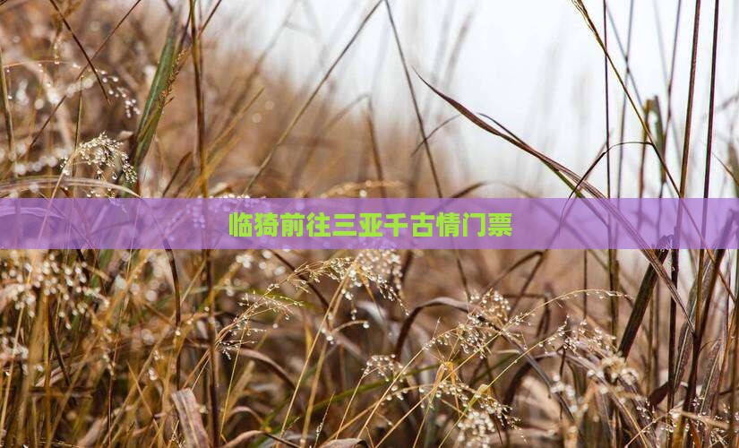 临猗前往三亚千古情门票