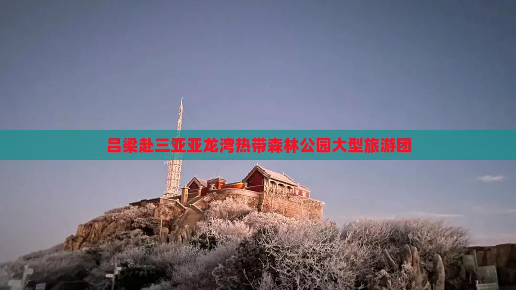 吕梁去三亚亚龙湾热带森林公园大型旅游团