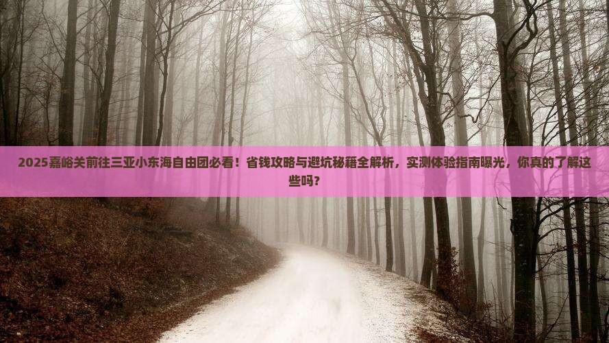 嘉峪关前往三亚小东海自由团 嘉峪关前往三亚小东海自由团