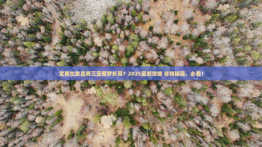 宜春前往三亚椰梦长廊旅行社 宜春前往三亚椰梦长廊旅行社
