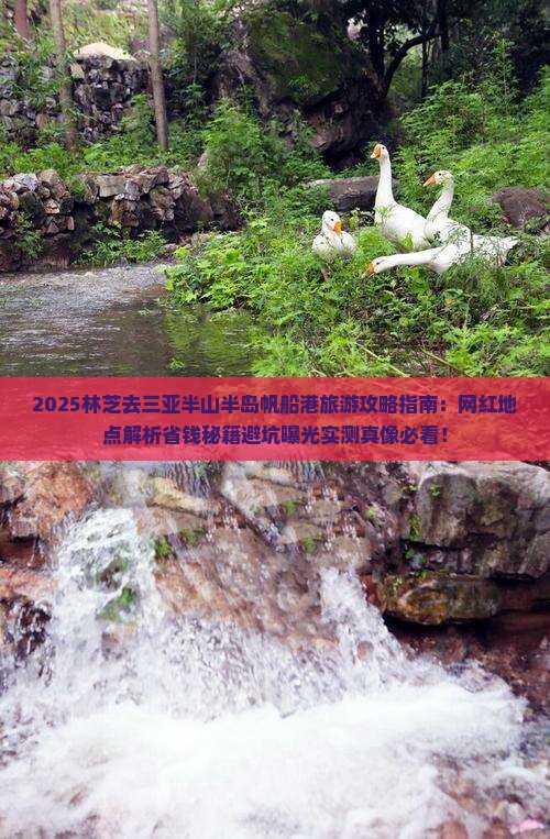 林芝去三亚半山半岛帆船港旅游网红地点