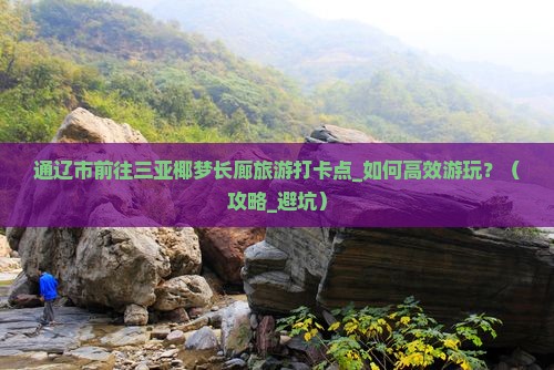 通辽市前往三亚椰梦长廊旅游打卡点
