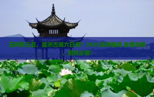 玉树去三亚崖洲古城六日游