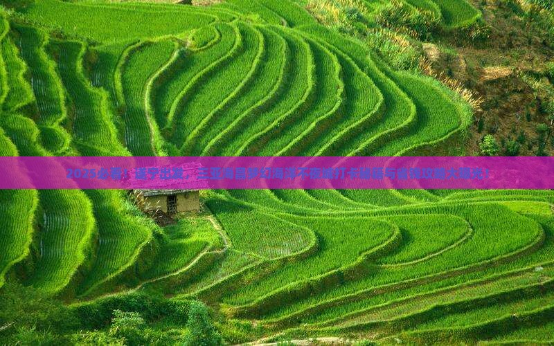 遂宁前往三亚海昌梦幻海洋不夜城旅游打卡点