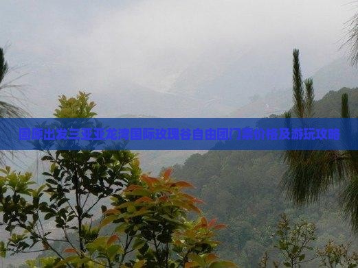 固原出发三亚亚龙湾国际玫瑰谷自由团 固原出发三亚亚龙湾国际玫瑰谷自由团
