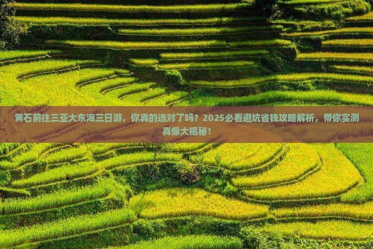 黄石前往三亚大东海三日游
