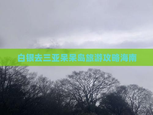 白银去三亚呆呆岛旅行社
