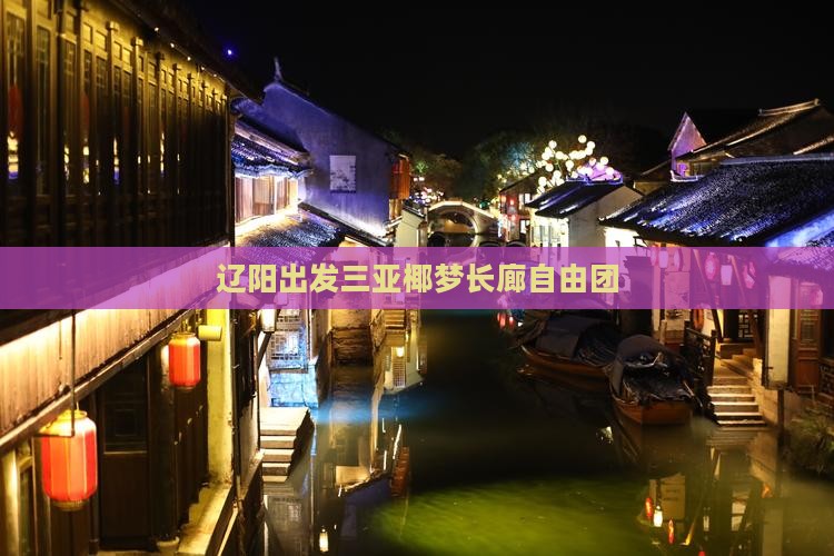 辽阳出发三亚椰梦长廊自由团