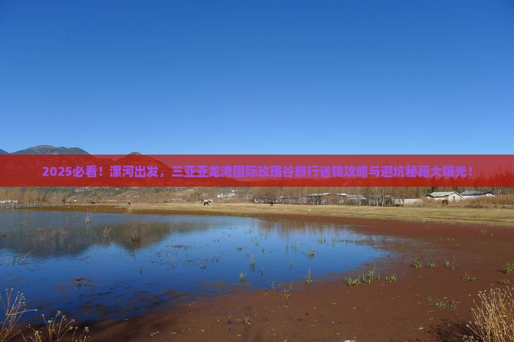 漯河前往三亚亚龙湾国际玫瑰谷旅行社