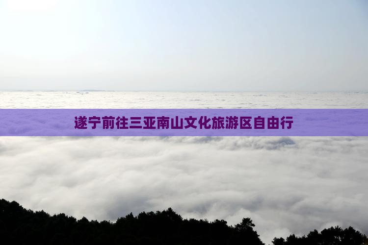 遂宁前往三亚南山文化旅游区自由行