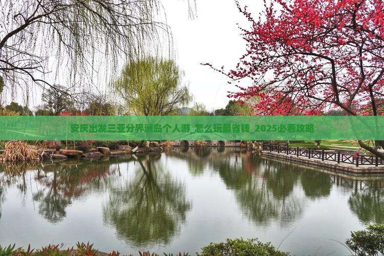 安庆出发三亚分界洲岛个人游