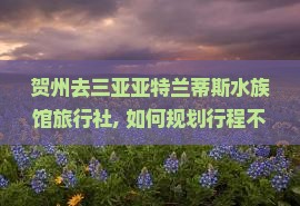 贺州去三亚亚特兰蒂斯水族馆旅行社