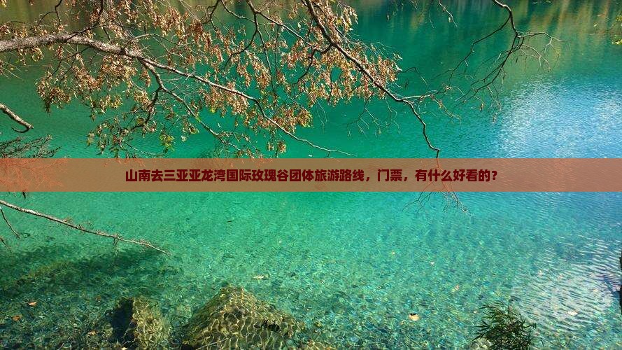 山南去三亚亚龙湾国际玫瑰谷团体旅游