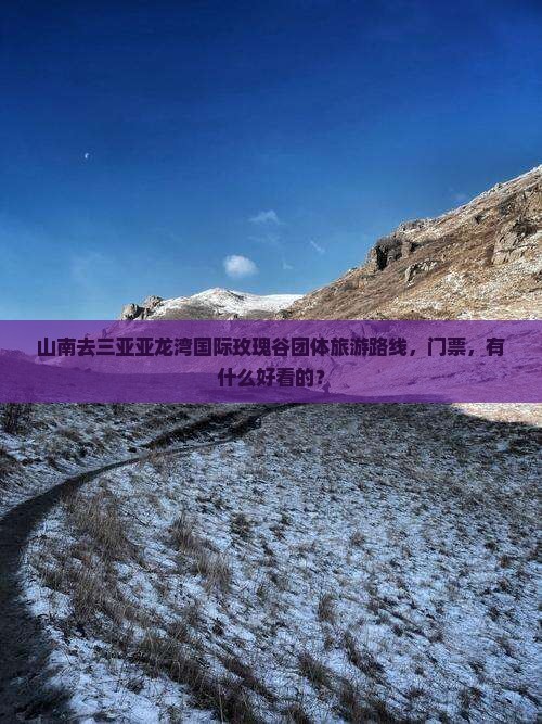 山南去三亚亚龙湾国际玫瑰谷团体旅游