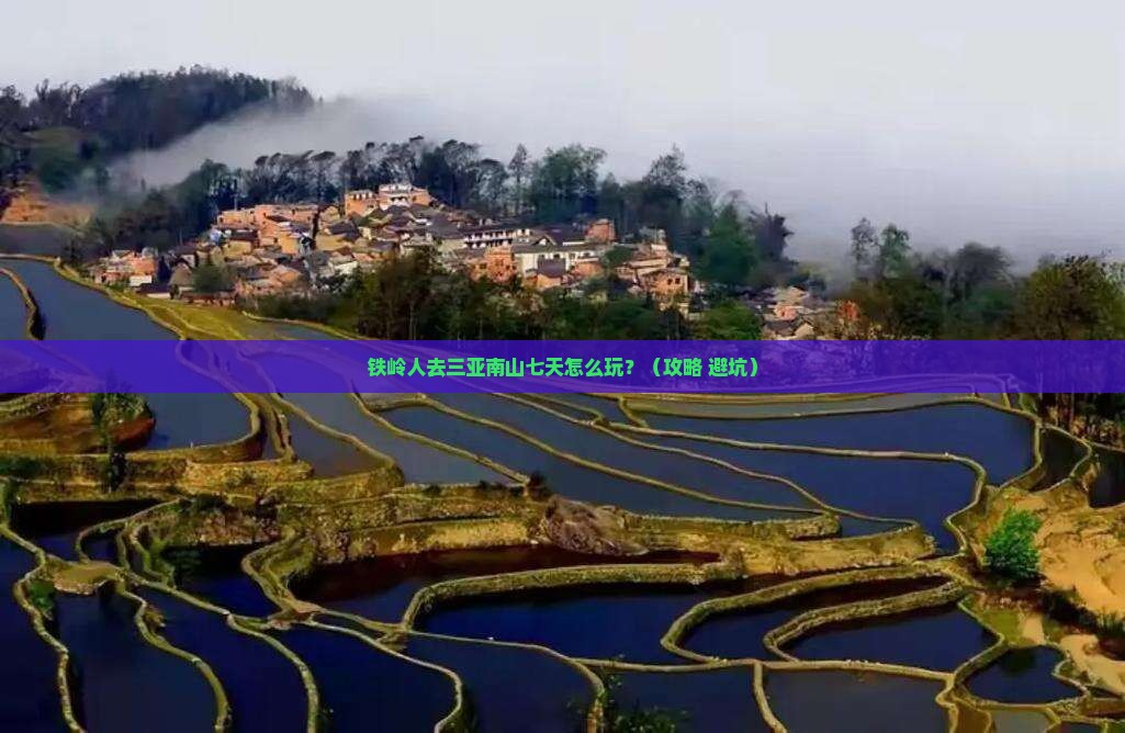 铁岭前往三亚南山文化旅游区七日游