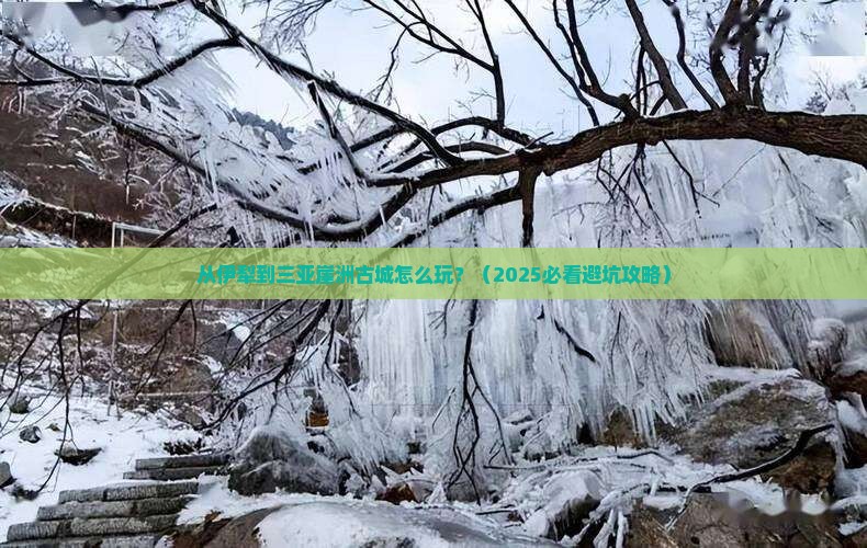 伊犁前往三亚崖洲古城哪里玩