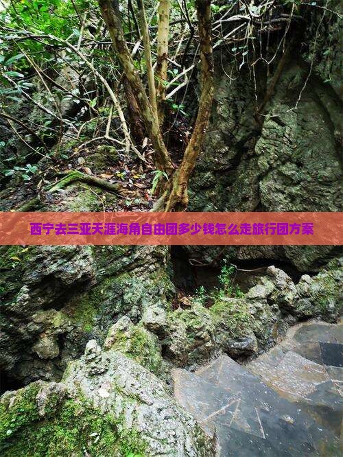 西宁去三亚天涯海角自由团