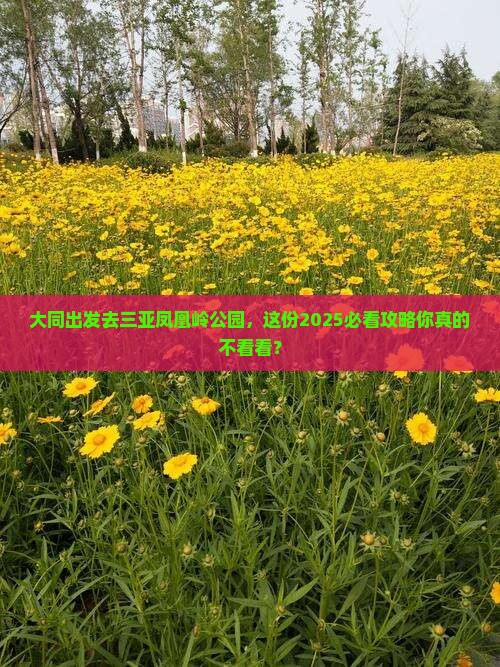 大同前往三亚凤凰岭公园旅游