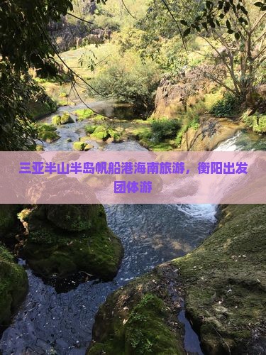 衡阳出发三亚半山半岛帆船港团体旅游