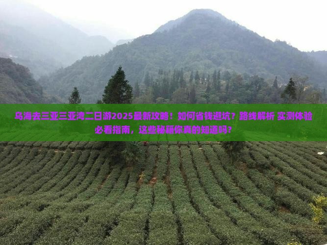 乌海去三亚三亚湾二日游