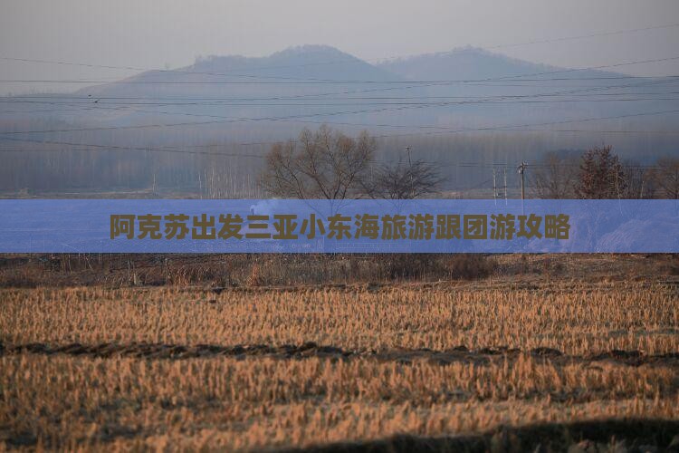 阿克苏出发三亚小东海旅游