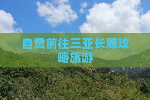 自贡前往三亚椰梦长廊自由团