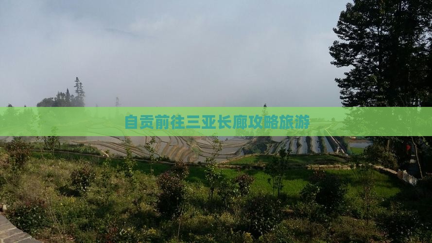 自贡前往三亚椰梦长廊自由团