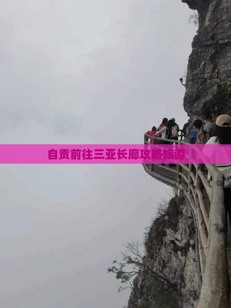 自贡前往三亚椰梦长廊自由团