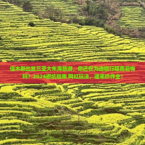 佳木斯出发三亚大东海旅游