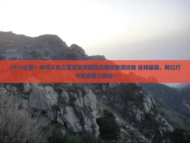 毕节去三亚亚龙湾国际玫瑰谷旅游网红地点