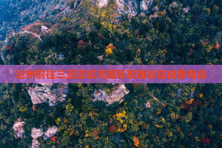 达州前往三亚亚龙湾国际玫瑰谷自由团