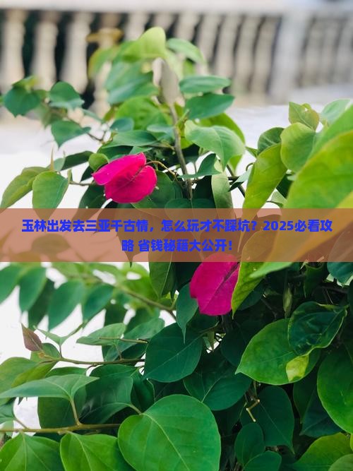 玉林出发三亚千古情哪里玩