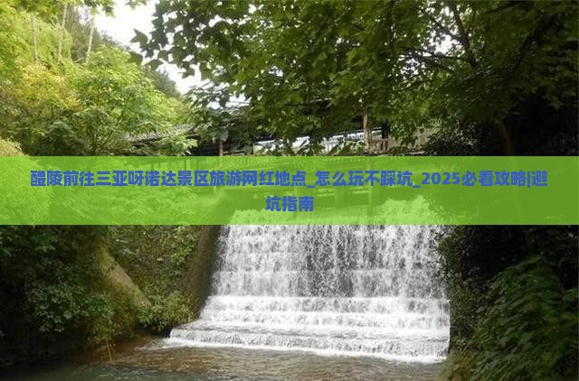 醴陵前往三亚呀诺达景区旅游网红地点