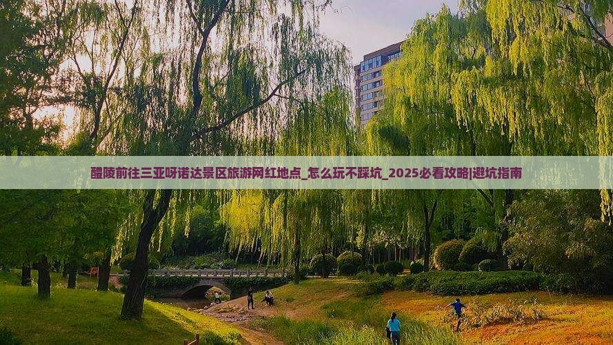 醴陵前往三亚呀诺达景区旅游网红地点