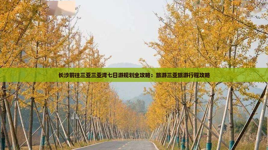 长沙前往三亚三亚湾七日游