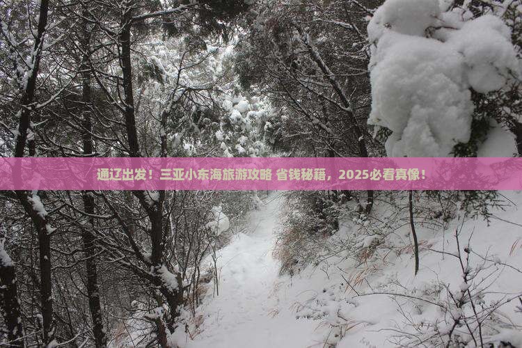 通辽市前往三亚小东海旅游网红地点