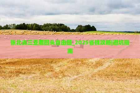 张北去三亚鹿回头自由团