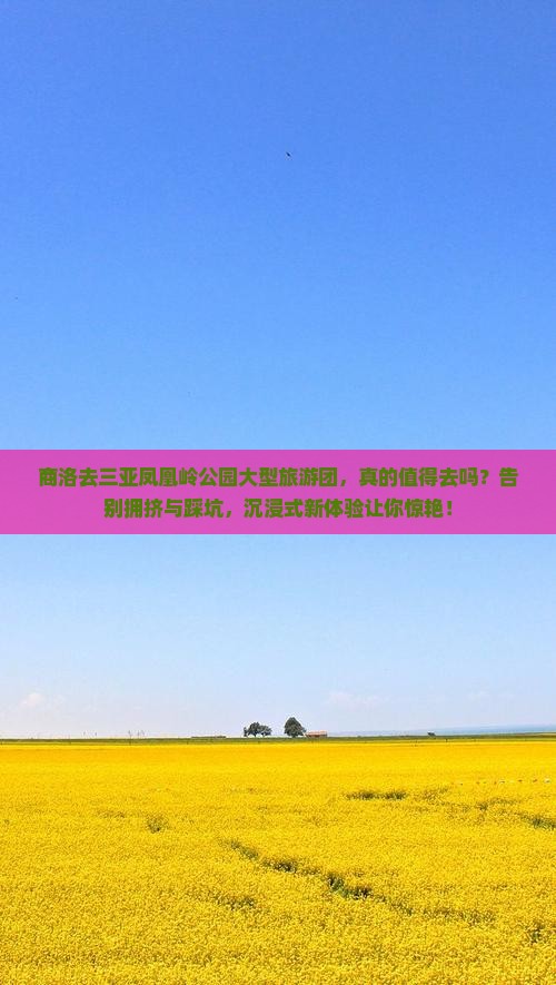 商洛去三亚凤凰岭公园大型旅游团