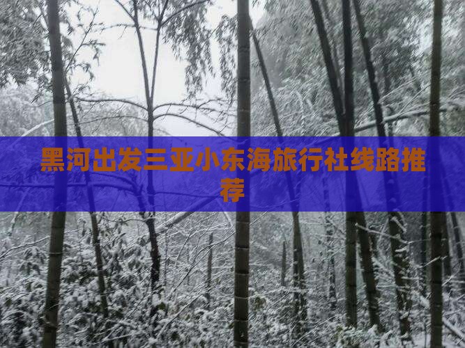 黑河出发三亚小东海旅行社