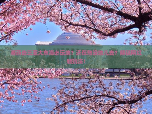 湘西去三亚大东海必玩地