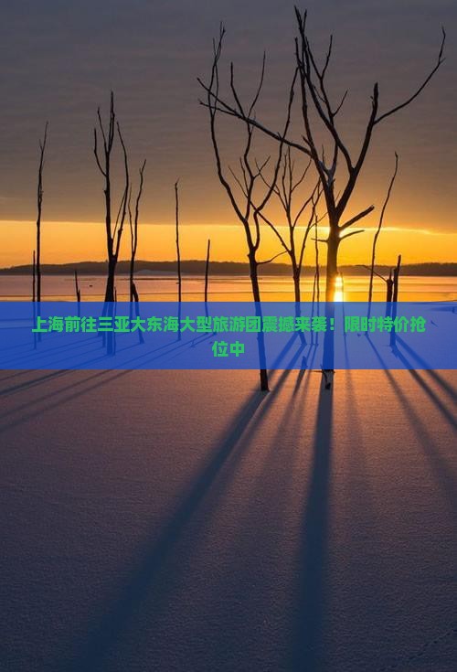 上海前往三亚大东海大型旅游团