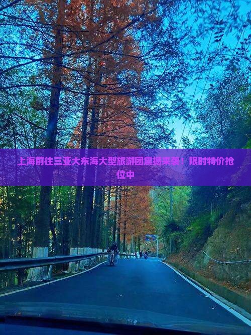 上海前往三亚大东海大型旅游团
