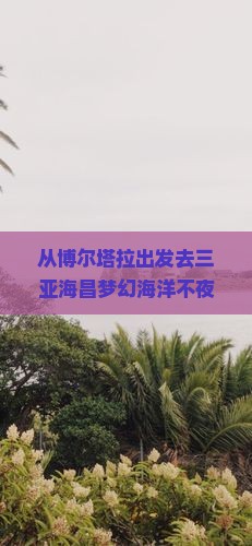 博尔塔拉出发三亚海昌梦幻海洋不夜城旅游小吃