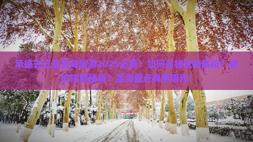 承德去三亚后海旅游