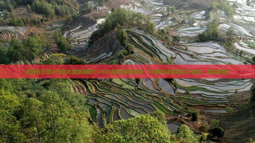 咸阳去三亚小东海大型旅游团